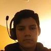 typicalphoenix8